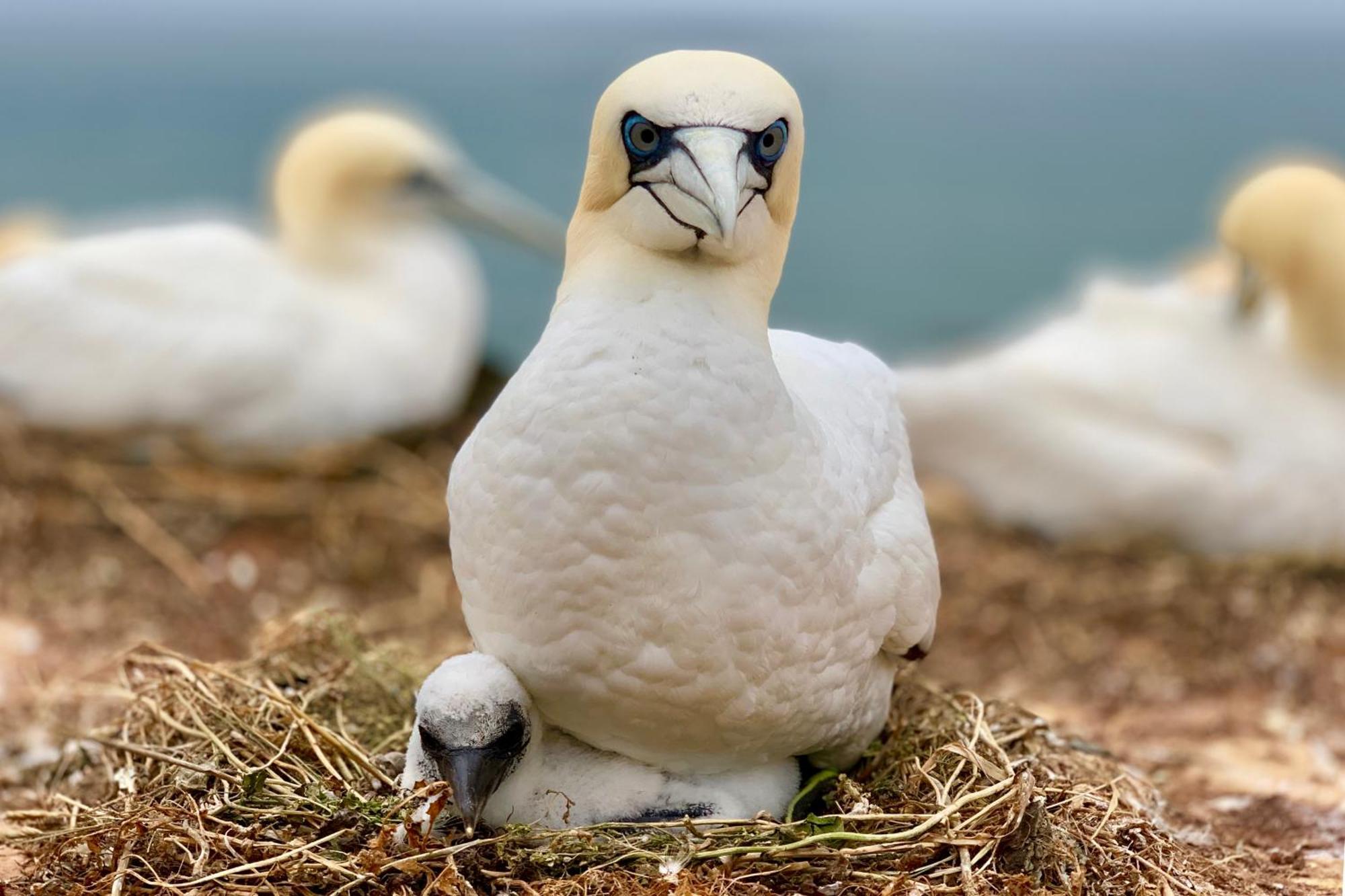 Appartamento Haus Sabina Heligoland Esterno foto
